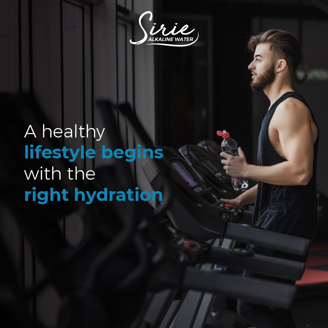 Get the best local seo services for your small business